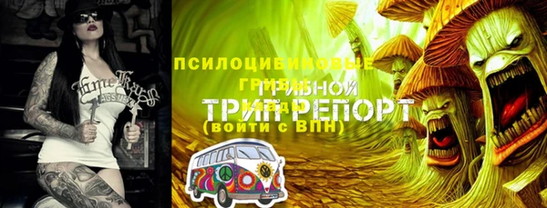 ECSTASY Богородск