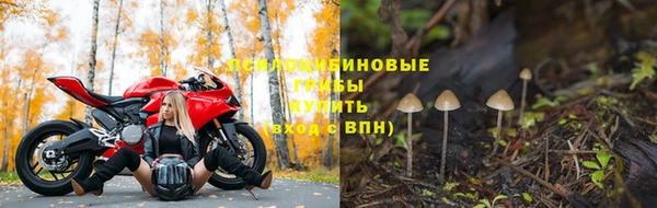 ECSTASY Богородск