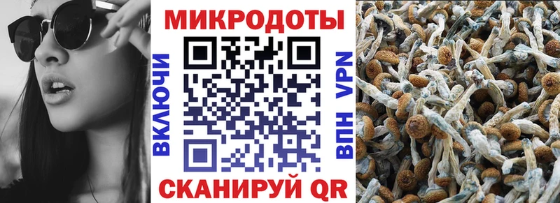 Псилоцибиновые грибы GOLDEN TEACHER  Купить закладки  Истра 